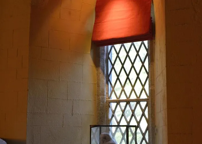 Willa Beautiful Restored 19th Century Gothic Church Baylough