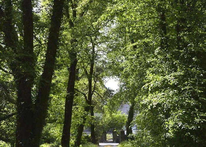 Beautiful Restored 19th Century Gothic Church Willa Baylough