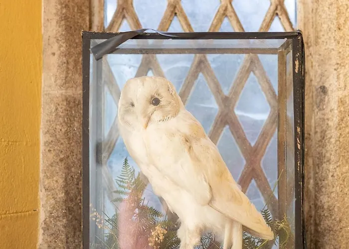 Beautiful Restored 19th Century Gothic Church